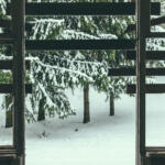 view on winter forest from old abandoned house