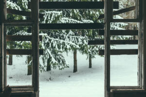 view on winter forest from old abandoned house